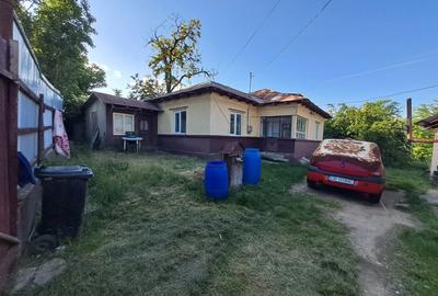 Casă cu 3 camere în Niculești - 1