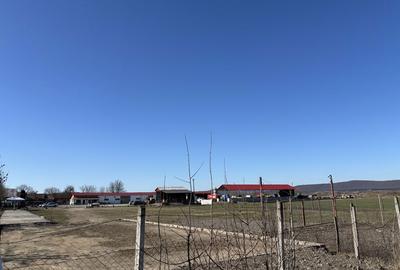 Spațiu comercial, în Gornești - 4