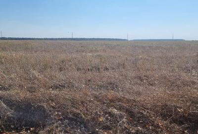 Teren agricol intravilan de 5000 mp, în Snagov - 3
