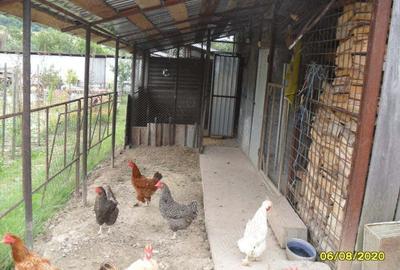 Casa cu teren in Razboienii de Jos, Neamt Casa cu teren in Razboienii de Jos, Neamt - 9