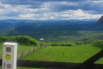 Teren de 3690 mp, în Șuncuiuș - 4