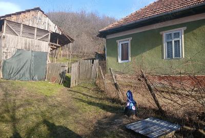 Casă în Blăjani - 9