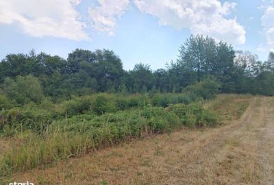 Spațiu comercial, în Central - 2