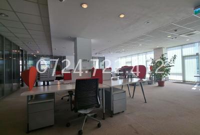 Splaiul Unirii 223, Bucuresti, proprietar - 4