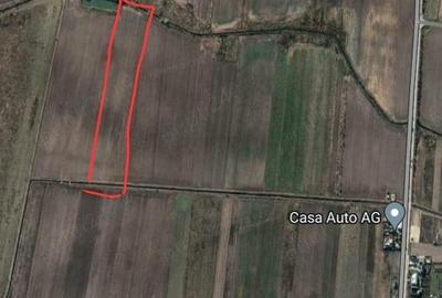Teren de 23200 mp, în Căteasca - 5