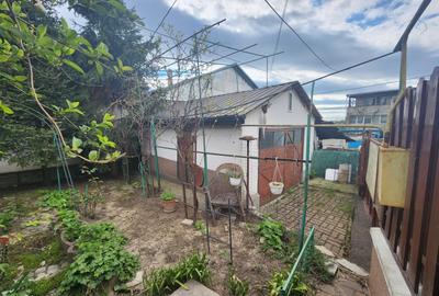 Casă individuală cu 4 camere cu Canalizare în Podul de Fier - 8