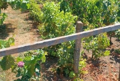 Casa situata in zona Cobadin, COMISION 0% - 2