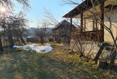 Casă cu 2 camere în Costești - 3