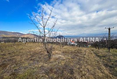 Teren în Călugareni - 9