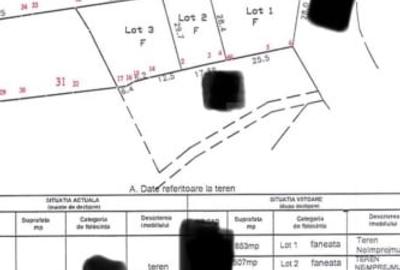 Teren extravilan cu priveliste - Tihuta Cota 1.201 - 3