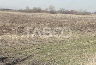 Teren extravilan 4200 mp in Sibiu zona Turnisor - 2