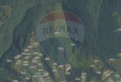 Teren agricol extravilan de 90000 mp, în Căpușu Mare - 3