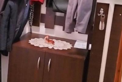 Garsonieră semidecomandată în Bartolomeu - 4