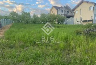 Teren de vanzare - Sigmir - 5