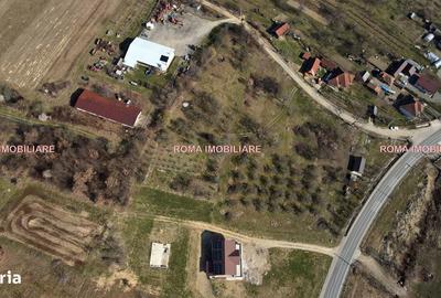 Teren de 6650 mp, în Remetea Chioarului - 2