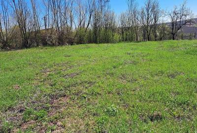 Comision 0% ! Teren intravilan ideal pentru construire casa in Rediu - 1