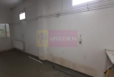 Spațiu industrial, de 263 mp, în Eroii Revoluției - 2