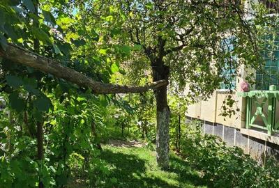 Casă cu 6 camere cu Teren 1932 Mp în Creaca - 18