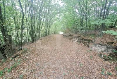 Casă cu 2 camere cu Teren 1000 Mp în Vulcan - 5