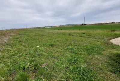Teren Construcții intravilan de 519 mp, în Cheriu