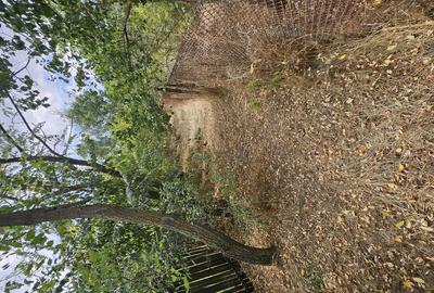 Casă cu 3 camere în Deparați - 11