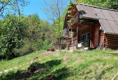 Casă cu 2 camere cu Teren 3400 Mp în Ghelari - 6