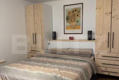 Casa cu curte si garaj, 2 dormitoare, mobilata utilata, Bres - 7