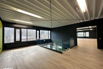 Spațiu comercial, de 150 mp, în Bucium - 8