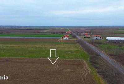 Teren de 4300 mp, în Odoreu - 1