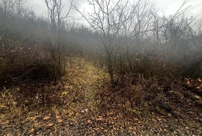 Teren intravilan 653 mp in Boldesti-Scaeni. - 12