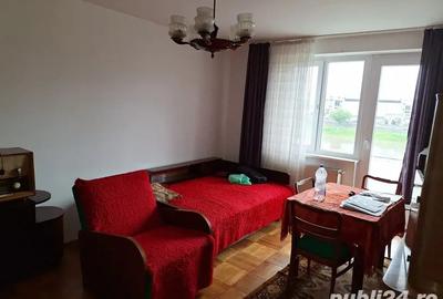 Inchiriez Ap 2 Camere Malul Timisului Decomandat - 6