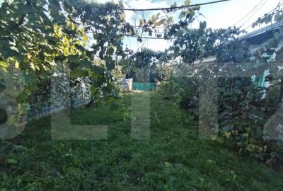 Casa tradi?ionala cu teren generos Brae?ti, Boto?a - 6