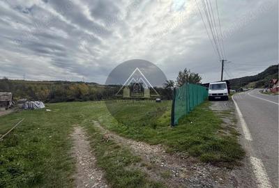 Teren Copsa Mica - 4