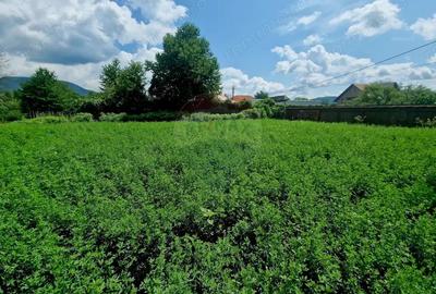 Teren intravilan 1000 mp Vii?oara, utilita?i - 19