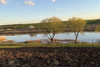 Teren de 2200 mp, în Iepurești - 5