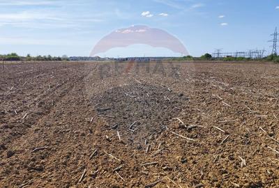 Teren Construcții intravilan de 3187 mp, în Nufărul - 4