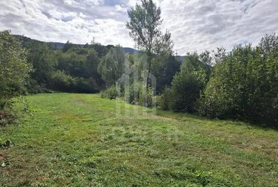 Teren Intravilan de Vanzare 3622 mp Rau Sadului - 1