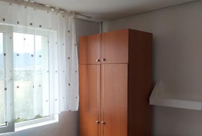 Proprietar inchiriez camera camin in Zizin