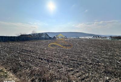 Spațiu comercial, în Hemeiuș - 7