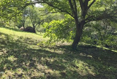 Casă cu 2 camere cu Teren 5300 Mp în Breaza - 4