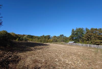 Spațiu comercial, în Mica - 8