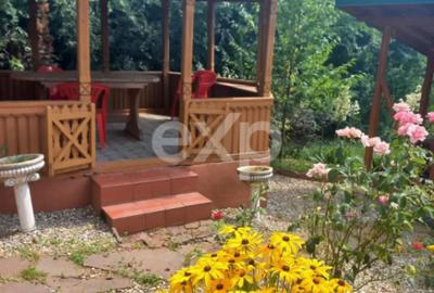 Casă cu 4 camere cu Teren 5500 Mp în Mălureni - 13