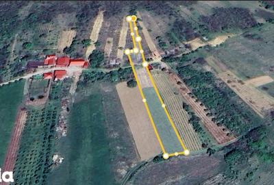 Teren de 2000 mp, în Tileagd - 2