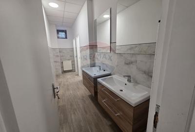 Spatiu de birouri 200 - 2000 mp Sala Palatului - Cismigiu - 16
