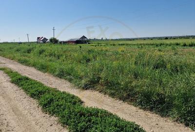 TEREN STEFANESTI! TEREN STEFANESTI! - 2