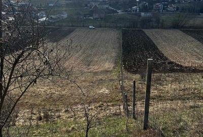 Spațiu comercial, în Corușu - 7