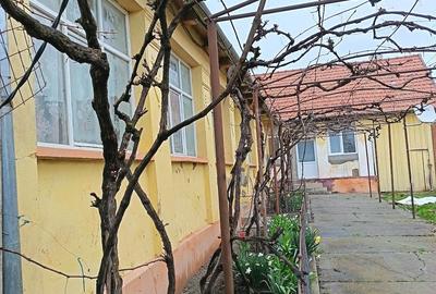 Casă cu 4 camere cu Teren 2300 Mp în Hitiaș - 2