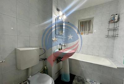 Apartament cu 2 camere de inchiriat in Lapus/Sucpi - 6