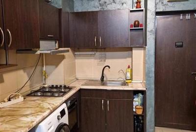 Apartament cu 2 camere semidecomandat, mobilat în Tătărași - 2