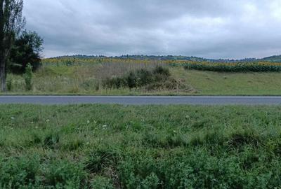 Spațiu comercial, în Dofteana - 1